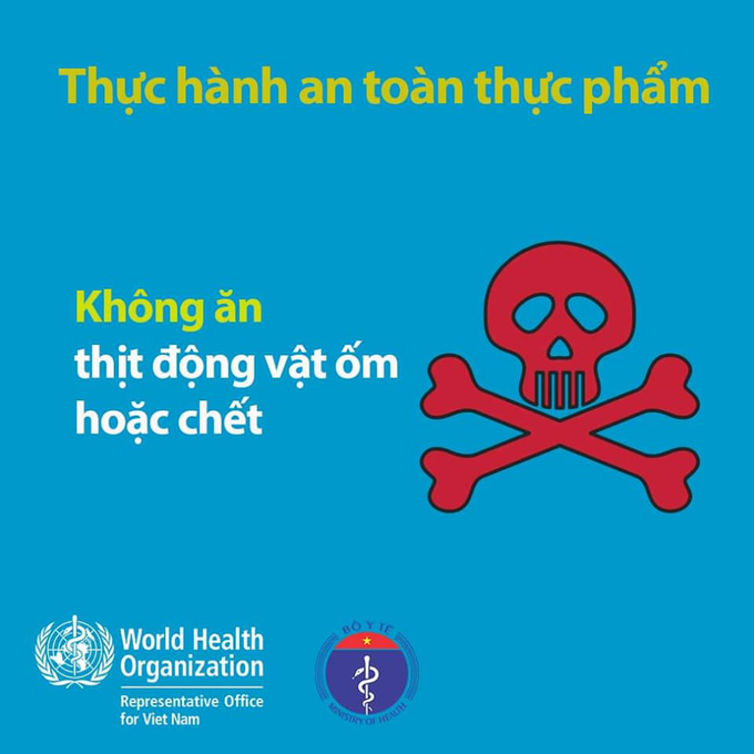 Bộ Y tế: Cẩm nang hỏi - đáp thông tin về bệnh viêm đường hô hấp cấp do chủng mới vi rút corona (nCoV) - Ảnh 6.