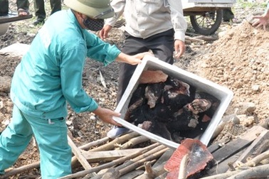 Tiêu hủy hàng trăm kg da voi và tay gấu