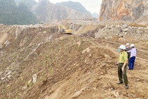 Doanh nghiệp tàn phá hơn 32.000m2 rừng phòng hộ