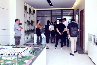 Hải Phát Toàn Cầu thu hút nhà đầu tư ngoại tìm kiếm cơ hội hợp tác