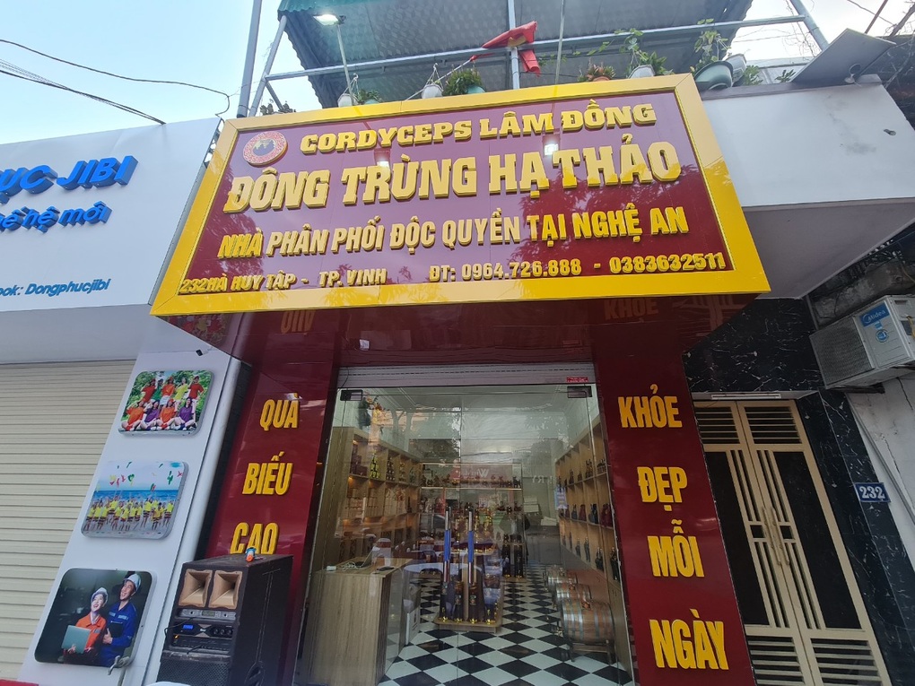 Khai trương showroom Đông trùng hạ thảo tại Nghệ An - 1 Khai trương showroom Đông trùng hạ thảo tại Nghệ An - 1