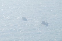 10 ngư dân Cà Mau bị Hải quân Malaysia bắt giữ gần một tháng nay