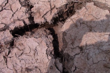 Hạn, mặn nghiêm trọng ở miền Tây