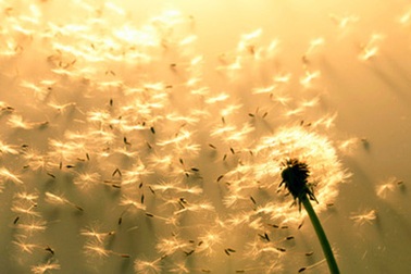 10 bước để tiến tới hạnh phúc đích thực