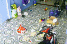 Clip "rắn bất ngờ vào nhà, trườn về phía em bé đang ngồi" gây sốc tuần qua