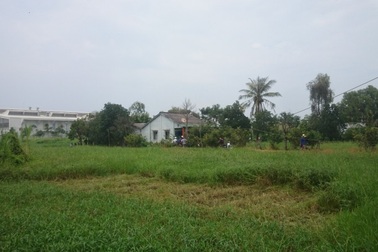 Chồng giết vợ rồi tự sát