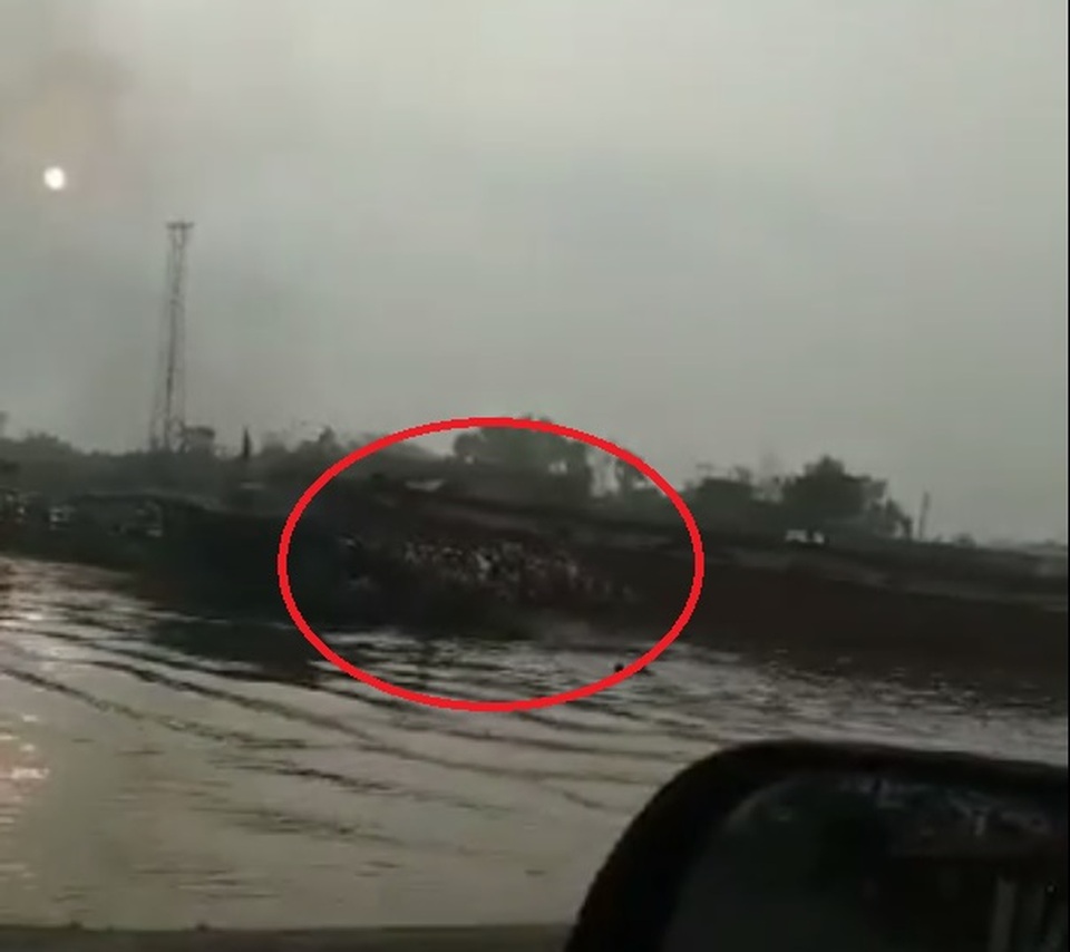 Tàu chở hàng đâm phà chở khách, nhiều người sợ hãi nhảy xuống sông - 1 Tàu chở hàng đâm phà chở khách, nhiều người sợ hãi nhảy xuống sông - 1