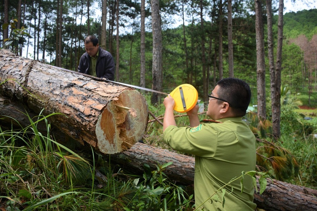 Khai trừ đảng nguyên Giám đốc Sở NNPTNT Lâm Đồng - 1 Khai trừ đảng nguyên Giám đốc Sở NNPTNT Lâm Đồng - 1