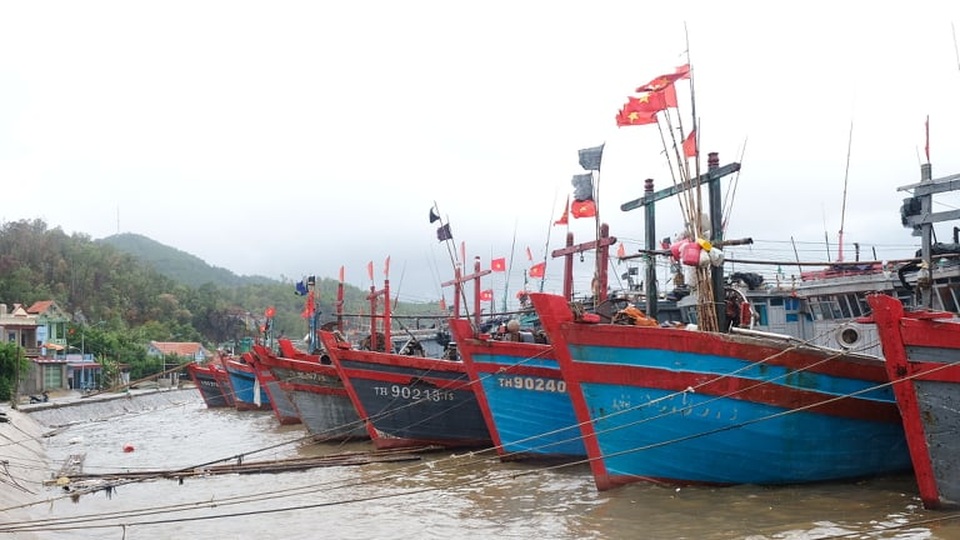 Ngư dân hối hả sát giờ bão đổ bộ - 1 Ngư dân hối hả sát giờ bão đổ bộ - 1