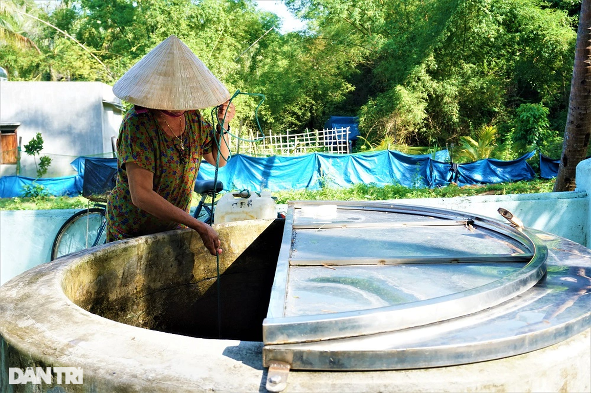 Bí ẩn lu nước trời nằm giữa đảo, cả trăm năm chưa hề cạn - 9 Bí ẩn lu nước trời nằm giữa đảo, cả trăm năm chưa hề cạn - 9
