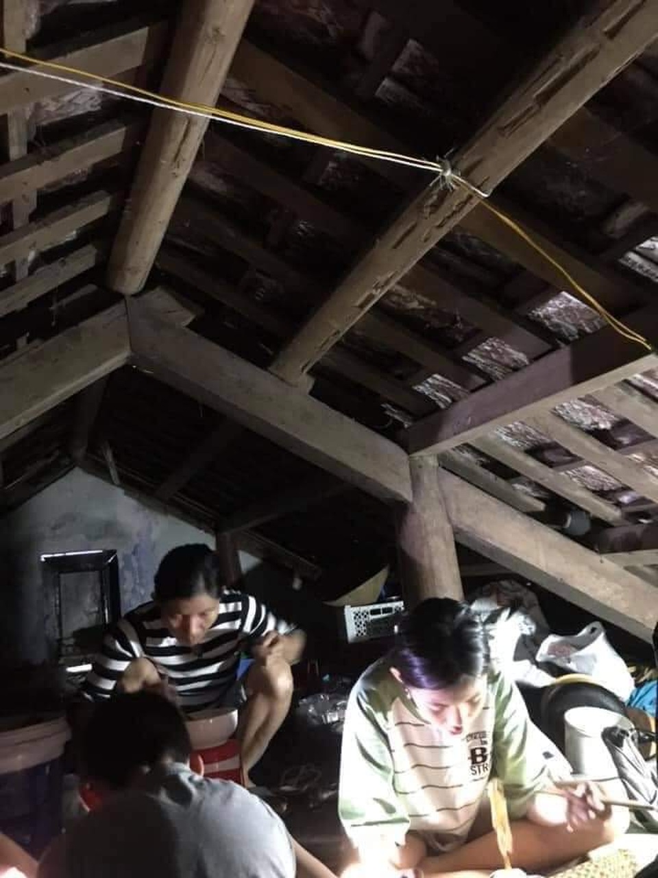 Người dân trú trên gác mái, cho lợn lên giường tránh lũ - 3 Người dân trú trên gác mái, cho lợn lên giường tránh lũ - 3