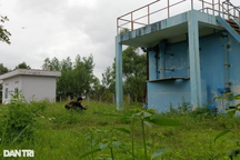 Vụ nhà máy nước 7 tỷ đồng bỏ hoang: Tỉnh phê bình huyện!