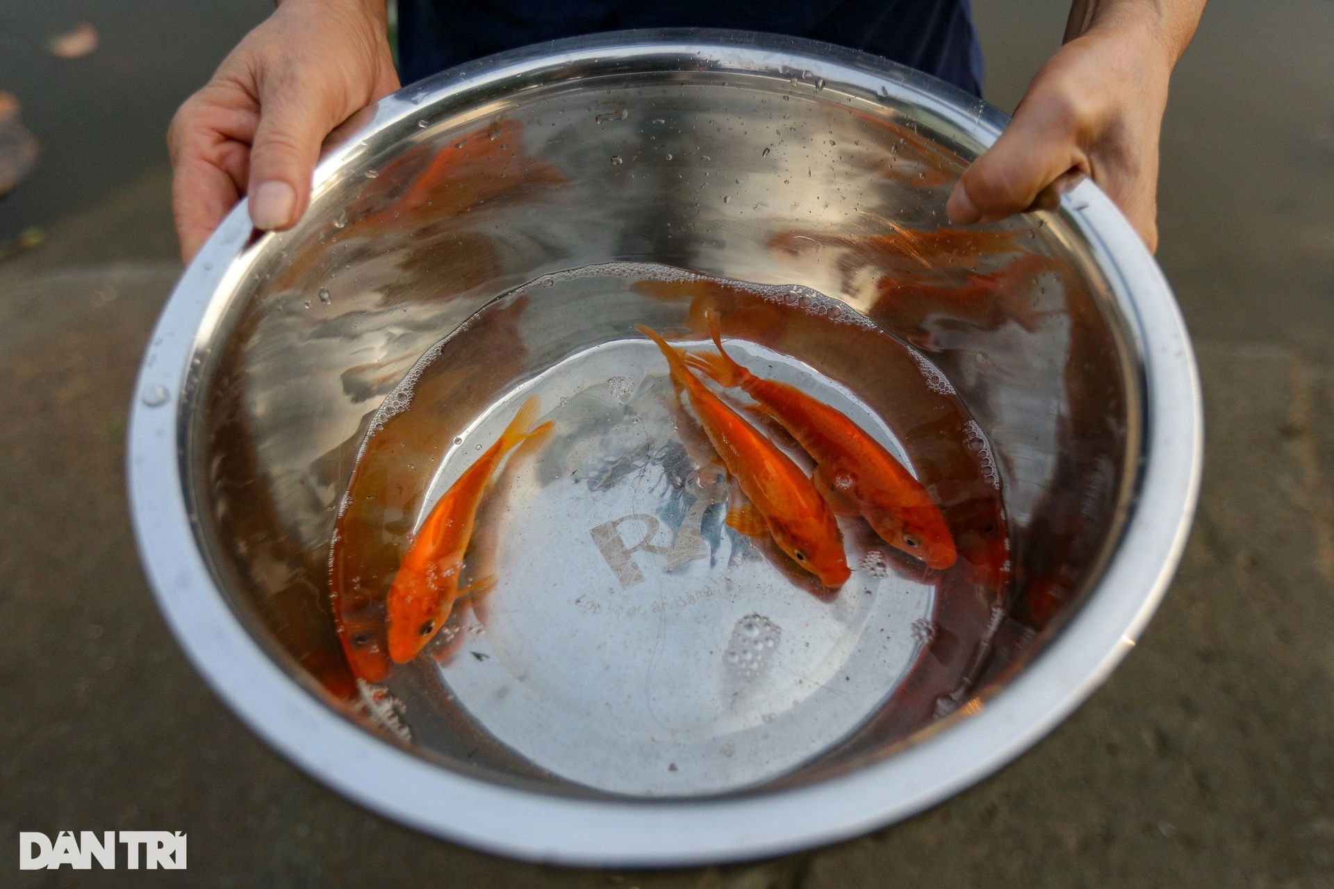 Người dân thuê thuyền ra giữa sông Sài Gòn thả cá tiễn ông Táo - 5