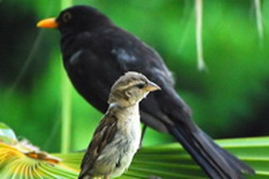 12 cách chọn ISO thích hợp nhất khi chụp ảnh