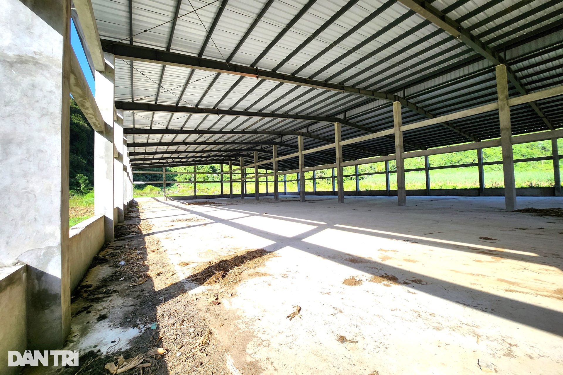Khu nhà kiên cố rộng cả nghìn m2 bị bỏ hoang giữa núi rừng - 5 Khu nhà kiên cố rộng cả nghìn m2 bị bỏ hoang giữa núi rừng - 5