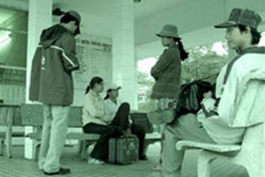 Cạm bẫy sau lũy tre làng