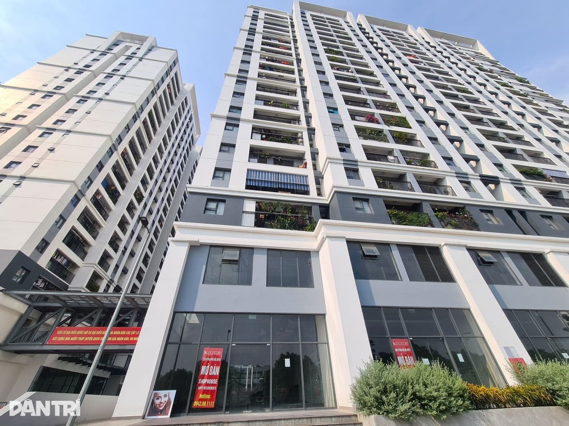 Ngã ngửa khi giá căn hộ định mua tăng 400 triệu đồng chỉ sau 3 tháng - 2 Ngã ngửa khi giá căn hộ định mua tăng 400 triệu đồng chỉ sau 3 tháng - 2