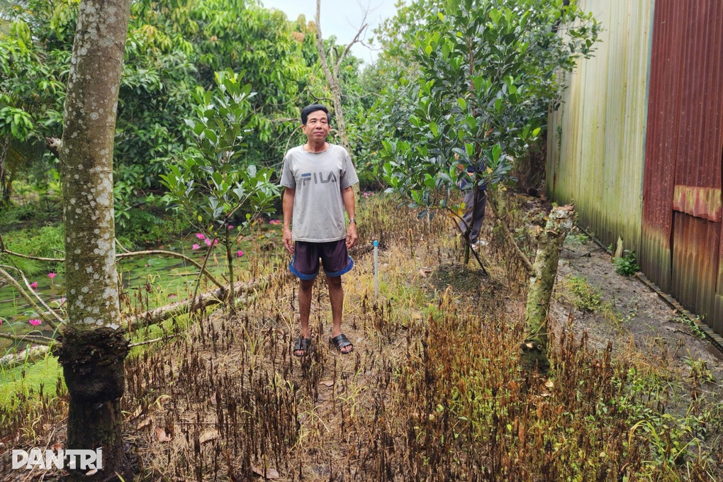 Dân bị bức tử nhiều năm vì phải sống cạnh cơ sở sản xuất nhựa tái chế - 2 Dân bị bức tử nhiều năm vì phải sống cạnh cơ sở sản xuất nhựa tái chế - 2