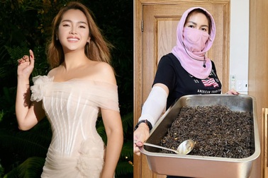 Á hậu Việt một mình nuôi 5 con: Chuyển về Đà Nẵng, bán cá khô kiếm tiền tỷ