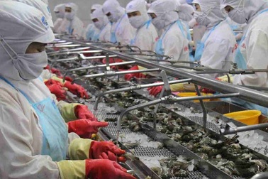 Mục tiêu xuất khẩu 10 tỷ USD: Làm thế nào để tôm Việt có thẻ vàng, thẻ xanh vào Mỹ, châu Âu?