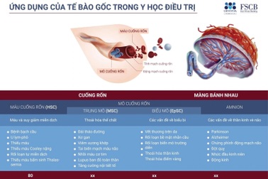 Cryoviva Vietnam hỗ trợ điều trị máu cuống rốn đến 300 triệu đồng