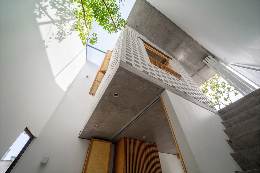 Ngôi nhà 24 m2 trong hẻm nhỏ Hà Nội vẫn thoáng gió và đầy cây xanh - 8 Ngôi nhà 24 m2 trong hẻm nhỏ Hà Nội vẫn thoáng gió và đầy cây xanh - 8