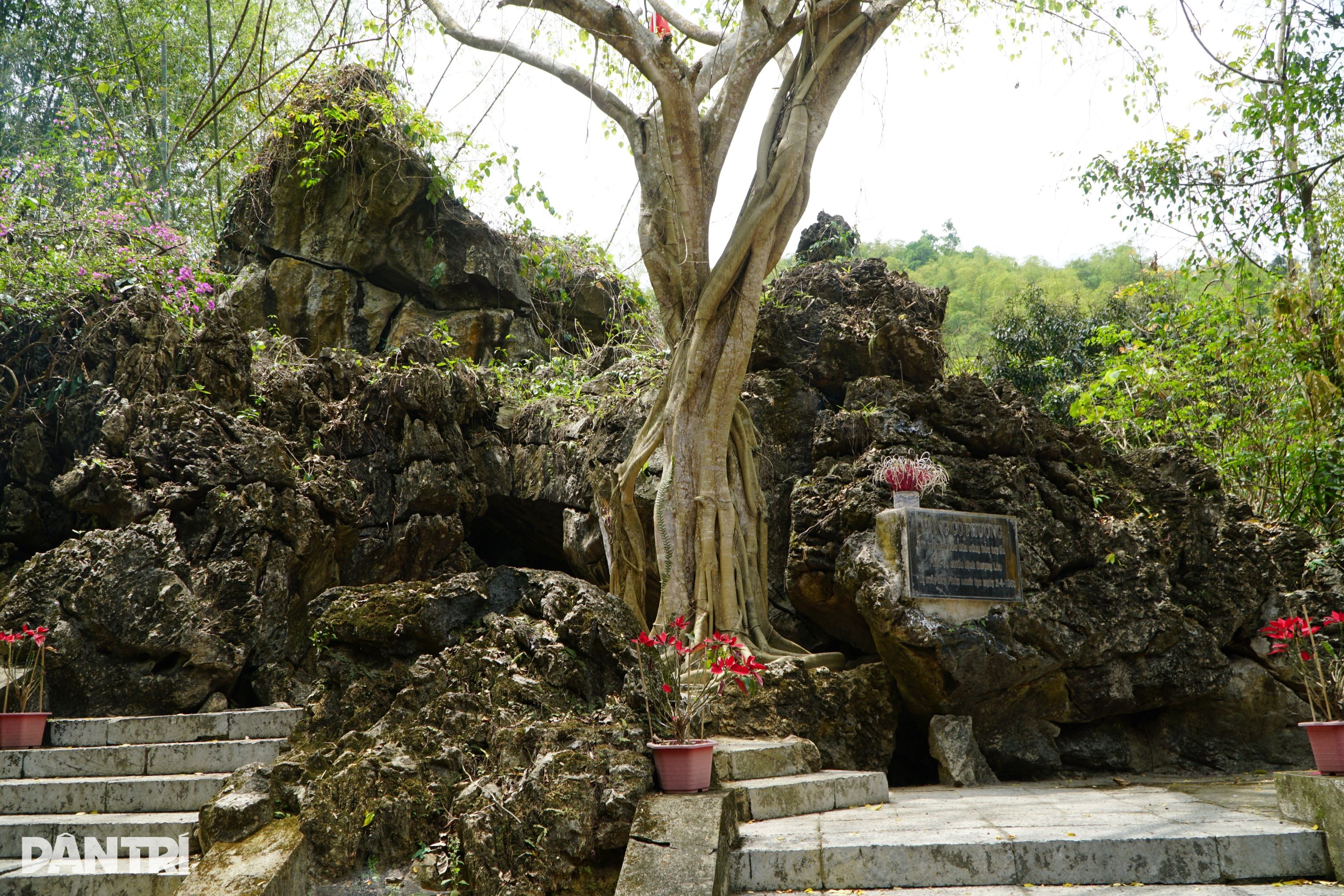 Nữ dân công duy nhất sống sót kể lại trận bom vùi lấp 11 người trong hang - 2 Nữ dân công duy nhất sống sót kể lại trận bom vùi lấp 11 người trong hang - 2