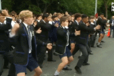 Clip “sinh viên New Zealand vừa khóc vừa nhảy để tưởng niện nạn nhân vụ xả súng” khiến dân mạng cảm động