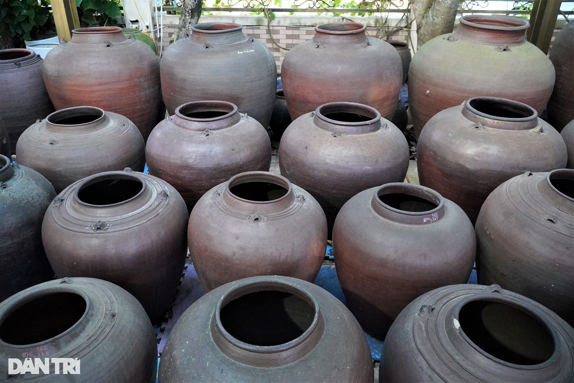 Bộ sưu tập của một nhà giáo được xác lập kỷ lục Việt Nam - 5 Bộ sưu tập của một nhà giáo được xác lập kỷ lục Việt Nam - 5