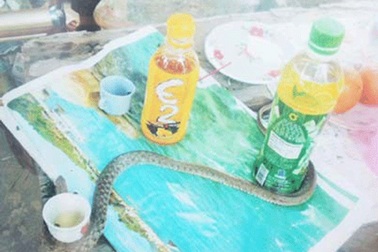 Cả xã xôn xao vì một con… rắn nước (!)