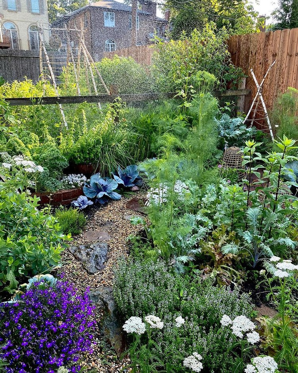 Vườn rau sạch đủ loại hái không xuể, mẹ đảm chia cho cả hàng xóm - 3