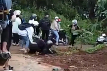 Vụ nữ sinh ở Gia Lai đánh nhau, nhà trường nói xử lý nghiêm