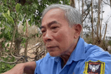 Bốn ngày chạy lũ trở về, người bảo vệ rơi nước mắt trước cảnh nhà đổ nát