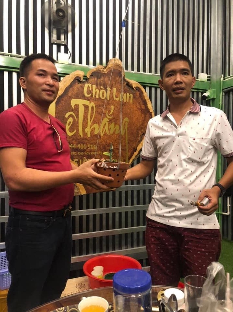 Nghệ nhân Lê Cao Thắng chia sẻ kinh nghiệm chăm sóc lan trong mùa mưa - 4 Nghệ nhân Lê Cao Thắng chia sẻ kinh nghiệm chăm sóc lan trong mùa mưa - 4