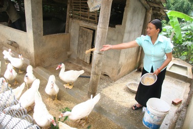 Nổi bật trong chính sách giảm nghèo là sự quan tâm tới phụ nữ và trẻ em