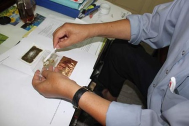 Miếng dán thải độc không có tác dụng hút độc