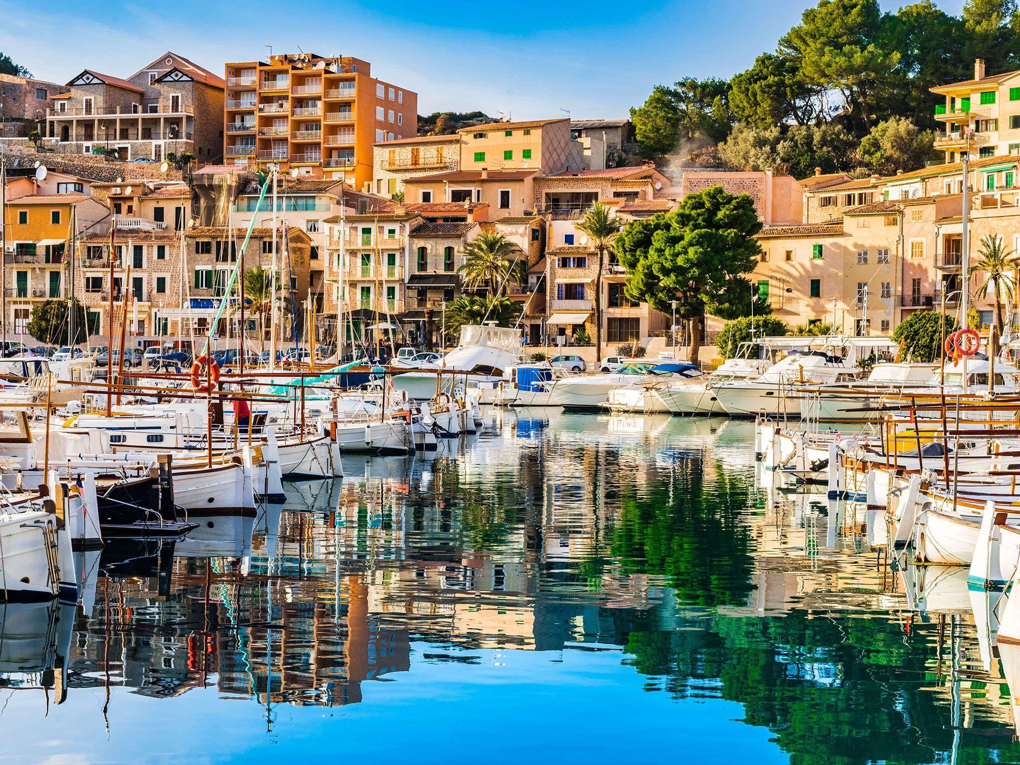 Thiên đường tiệc tùng Majorca: Vấn nạn cưỡng hiếp và bẫy tình dục - 4 Thiên đường tiệc tùng Majorca: Vấn nạn cưỡng hiếp và bẫy tình dục - 4