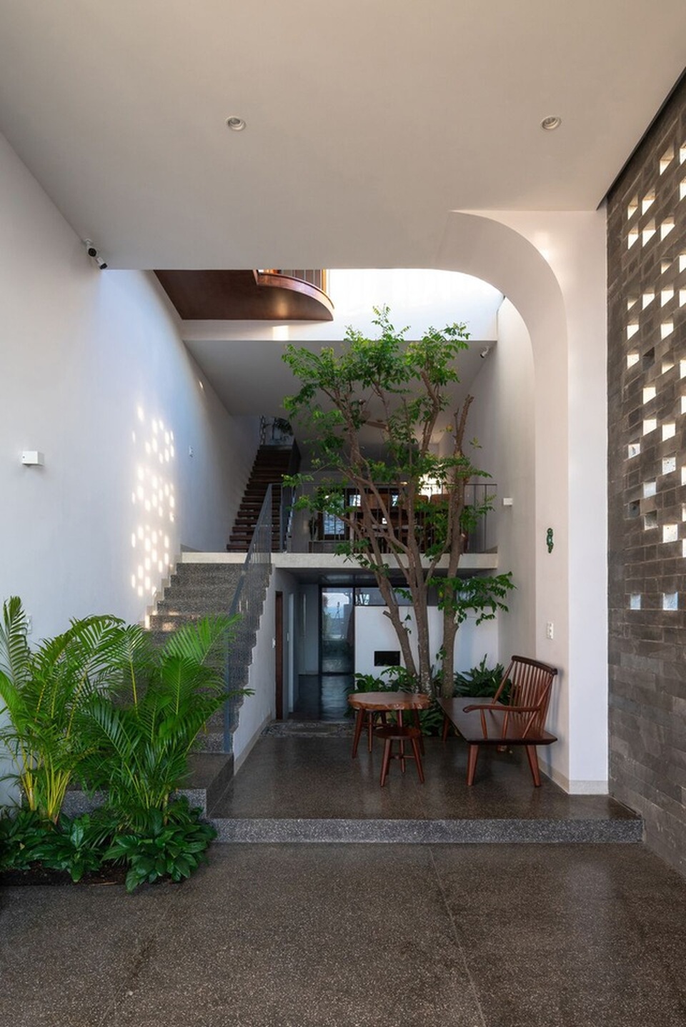 “Khu rừng nhiệt đới” nằm ẩn trong nhà phố khiến ai bước vào cũng trầm trồ - 9