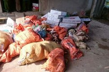 Phát hiện hơn 1 tấn thực phẩm quá đát, ôi thiu