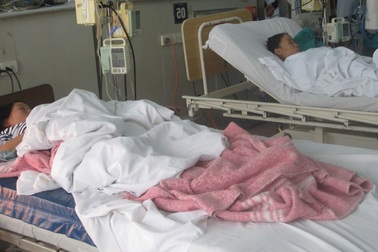 Lại ngộ độc nấm làm 4 người nguy kịch