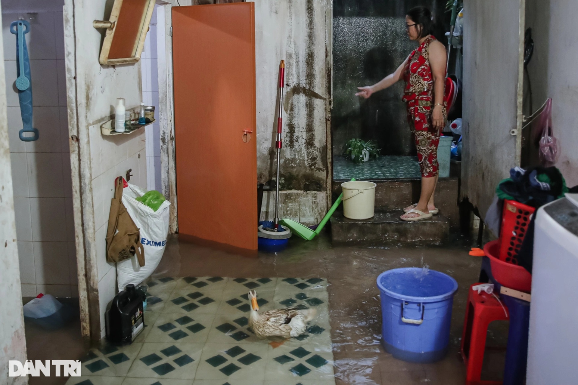 Vịt bơi vào nhà, đường biến thành sông sau mưa lớn ở TPHCM - 4 Vịt bơi vào nhà, đường biến thành sông sau mưa lớn ở TPHCM - 4