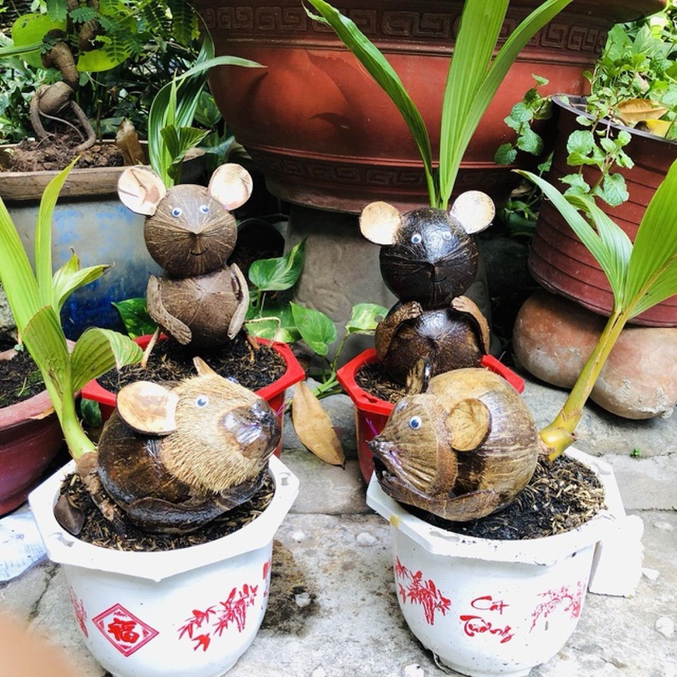 Mãn nhãn những cây cảnh tạo hình chuột độc đáo chào năm mới Canh Tý - 1 Mãn nhãn những cây cảnh tạo hình chuột độc đáo chào năm mới Canh Tý - 1