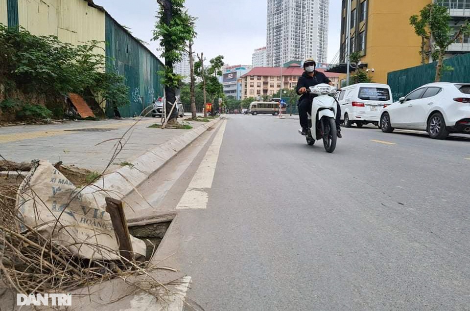 Hàng loạt cây xanh mới trồng chết khô trên khu đất vàng Hà Nội - 9 Hàng loạt cây xanh mới trồng chết khô trên khu đất vàng Hà Nội - 9