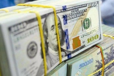 Bản Việt: "Việt Nam củng cố dự trữ ngoại hối là hợp lý"