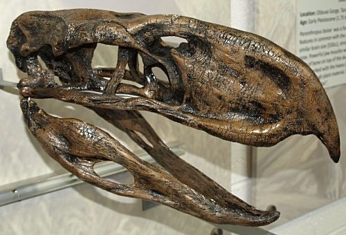 Những quái thú khổng lồ từng ngự trị Trái đất - 11
