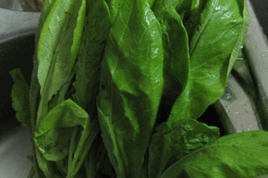 Rau trồng trên cạn cũng nhiễm kí sinh trùng