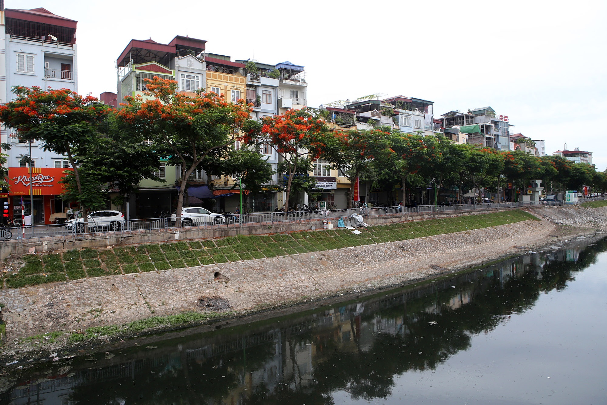Hà Nội đẹp rực rỡ với dải phượng vĩ dài 8km - 8 Hà Nội đẹp rực rỡ với dải phượng vĩ dài 8km - 8