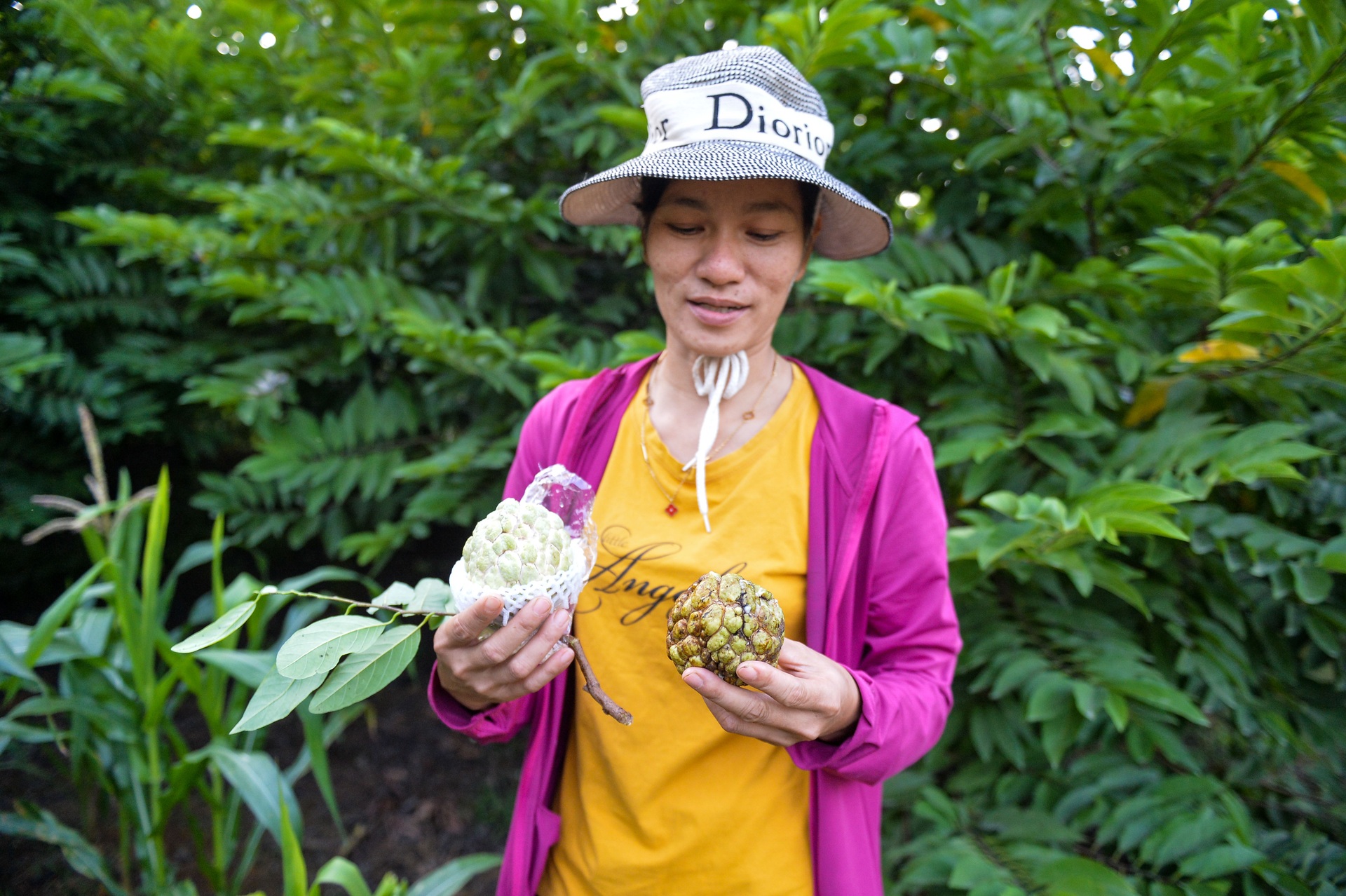 Những người phụ nữ làm kinh tế giỏi và cây na thoát nghèo - 3 Những người phụ nữ làm kinh tế giỏi và cây na thoát nghèo - 3