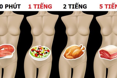 Nắm vững thời gian cơ thể tiêu hóa các món ăn để “sống khỏe mỗi ngày"