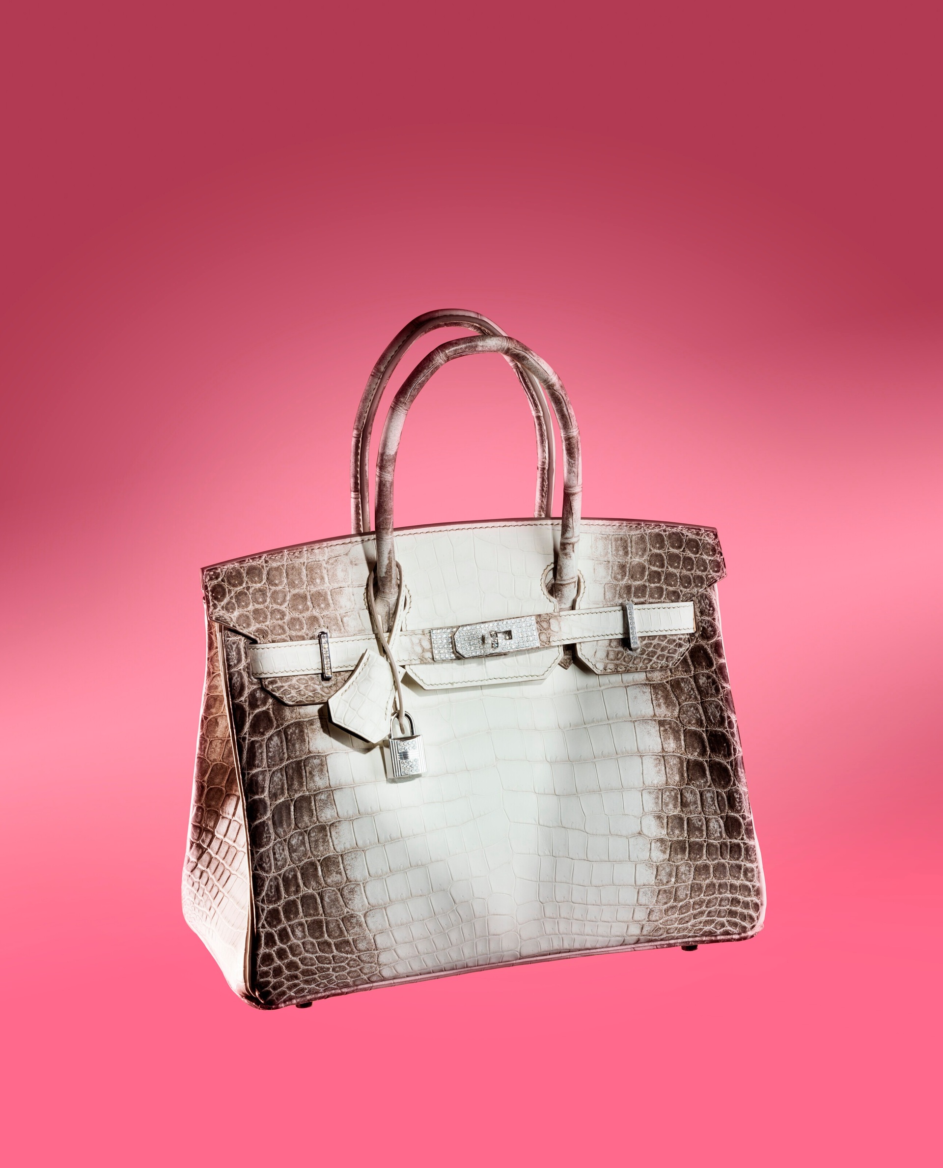 Túi Hermès da cá sấu giá tiền tỷ khiến giới siêu giàu săn lùng - 2 Túi Hermès da cá sấu giá tiền tỷ khiến giới siêu giàu săn lùng - 2